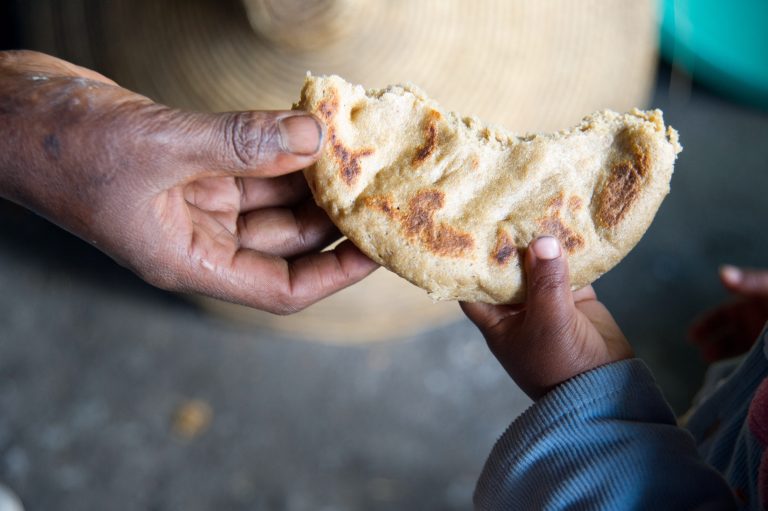 Een hand geeft een stuk brood aan een kinderhond. Samen maken we einde aan wereldwijde honger.