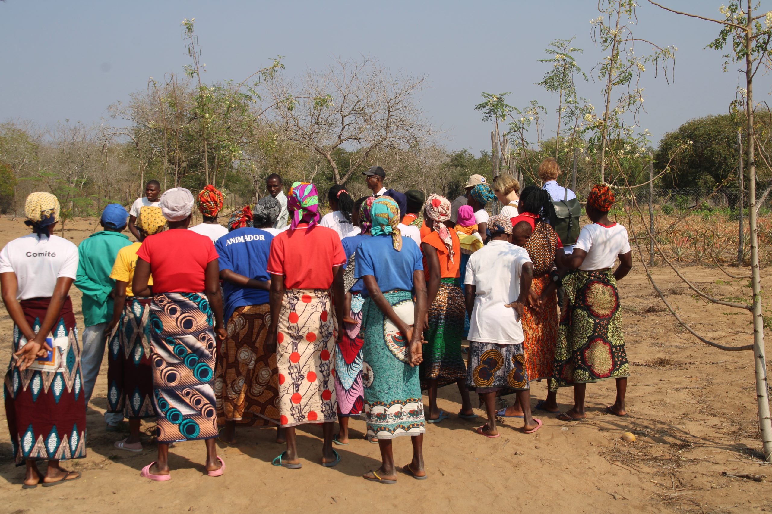 large group of women looking out on a field with their backs to the camera.