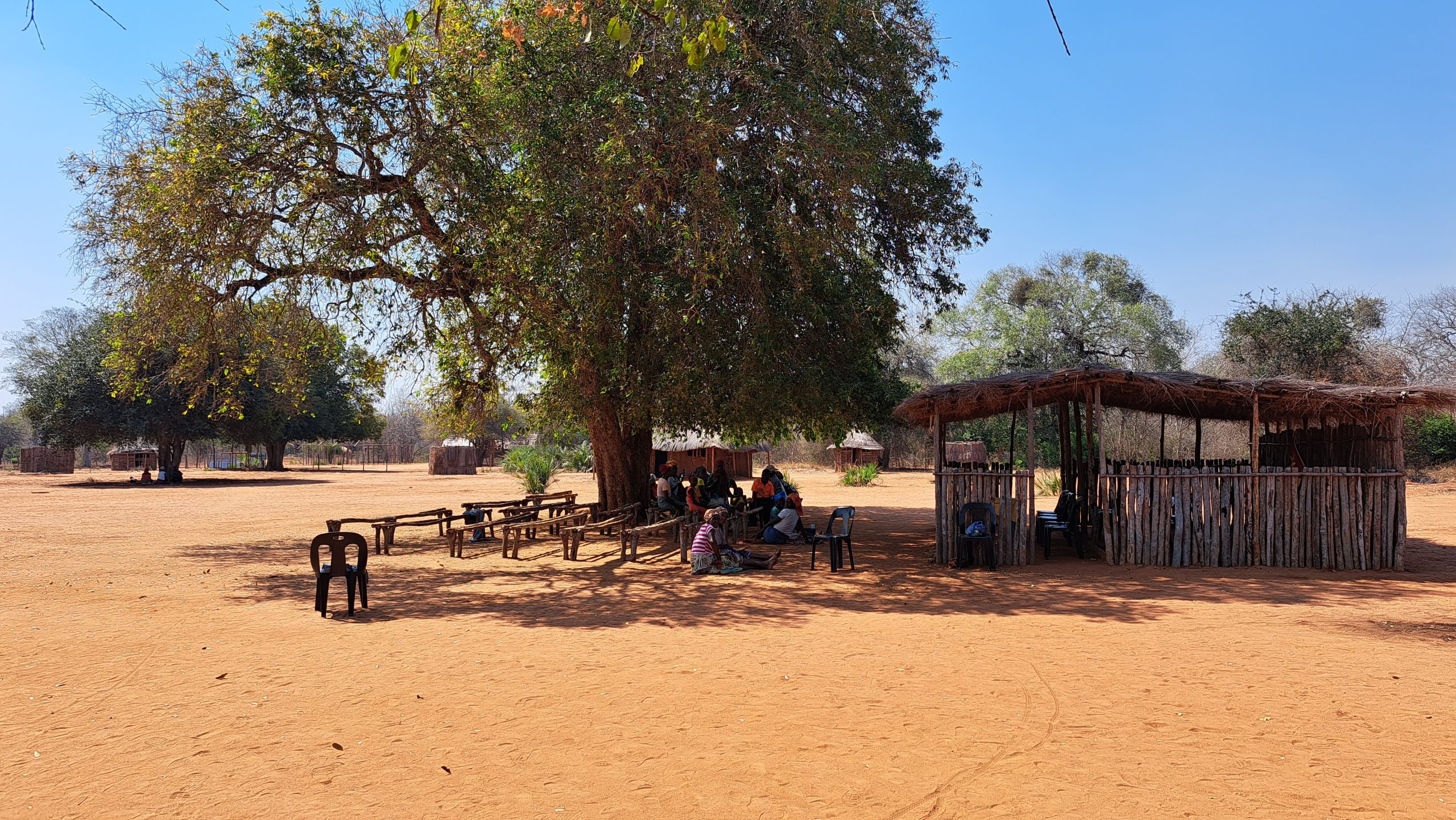 Een groepje mensen zitten onder een grote boom in Malindile, Mozambique.