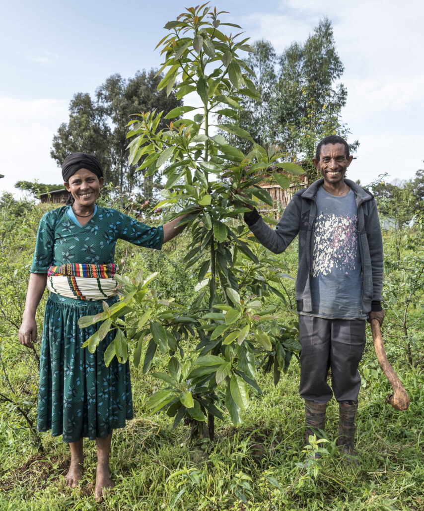 man and woman in Ethiopia standing on each side of a young tree, touching a branch.
