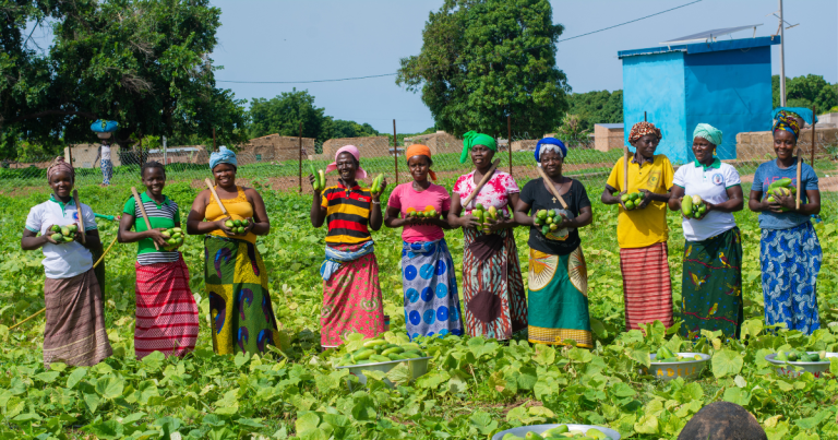 groep vrouwen in een veld in Burkina Faso
